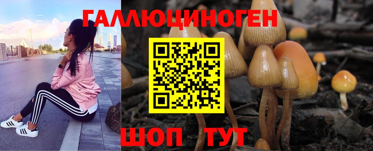 Галлюциногенные грибы прущие грибы Кировск