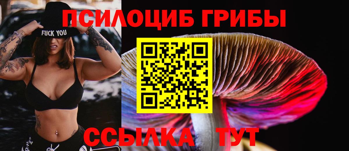 магазин  наркотиков  Псилоцибиновые грибы Cubensis  Вход с VPN  Кировск  Псилоцибиновые грибы мицелий 